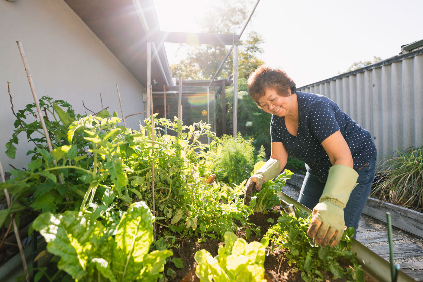 Woman growing vegetables at home